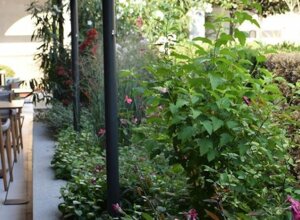 Giardino privato con piante e fiori vicino a un'area con sedie, Milano