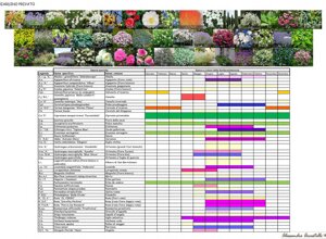 Tabella di pianificazione floreale per giardini privati con immagini di fiori e periodi di fioritura