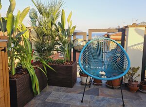 Terrazzo tropicale con piante verdi e sedia blu