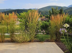 Giardino privato con flora mediterranea su sfondo collinare Giardino privato con flora mediterranea su sfondo collinare