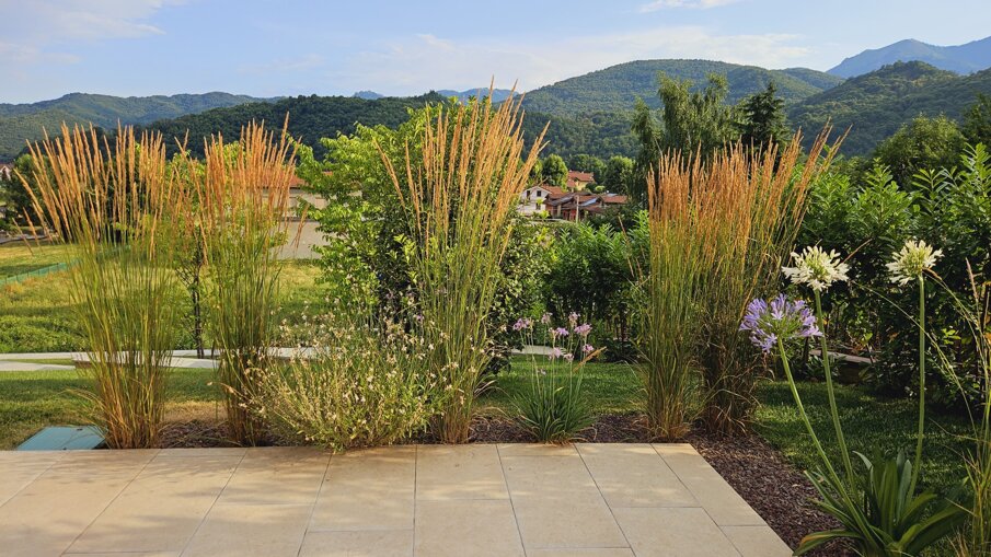 Giardino privato con flora mediterranea e vista sulle montagne Giardino privato con flora mediterranea e vista sulle montagne