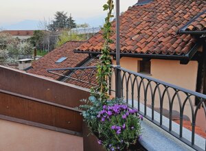 Terrazzo signorile a Pinerolo con gelsomino rampicante Terrazzo signorile a Pinerolo con gelsomino rampicante