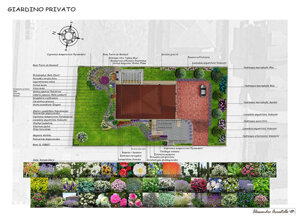Progettazione di un giardino privato in stile provenzale a Torino con schemi dettagliati delle piante.