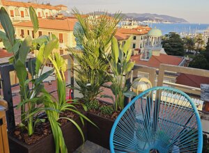 Terrazzo tropicale con piante esotiche e vista sul mare