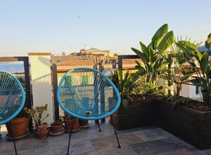 Terrazzo tropicale con piante verdi e sedie blu, vista mare.