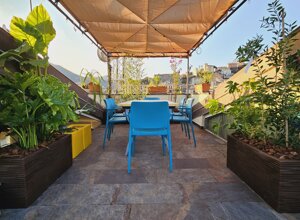 Terrazzo tropicale con sedie blu e piante verdi