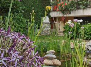 Giardino privato con biolago e fitodepurazione a Torino.
