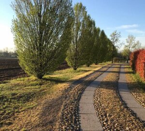 image9.jpeg image9.jpeg