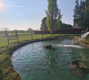 dsc_0325(2).jpeg dsc_0325(2).jpeg