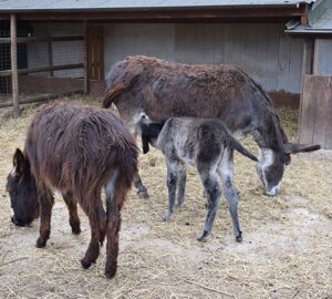 dsc_0166.jpeg dsc_0166.jpeg