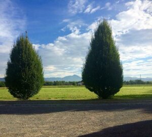 dsc_0314.jpeg dsc_0314.jpeg