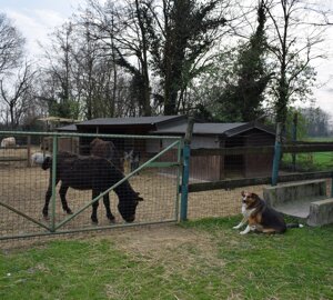 dsc_0183.jpeg dsc_0183.jpeg