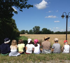 dsc_0215.jpeg dsc_0215.jpeg