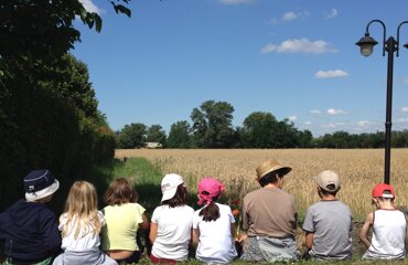 dsc_0175.jpeg dsc_0175.jpeg