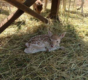 20130601_154858.jpeg 20130601_154858.jpeg