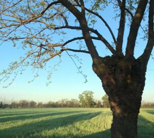 image50.jpeg image50.jpeg