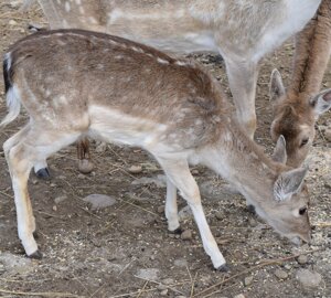 image29.jpeg image29.jpeg