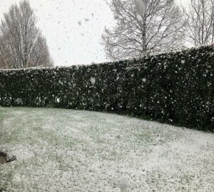 image31.jpeg image31.jpeg