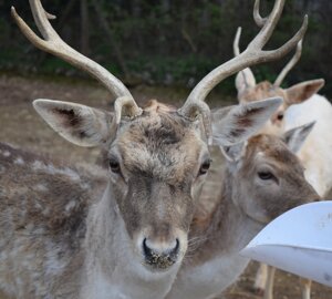 dsc_0154.jpeg dsc_0154.jpeg