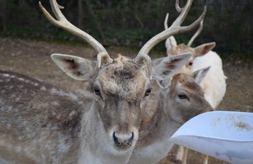 dsc_0165.jpeg dsc_0165.jpeg