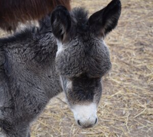 12(1).jpeg 12(1).jpeg