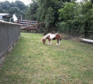 dsc_0175.jpeg dsc_0175.jpeg