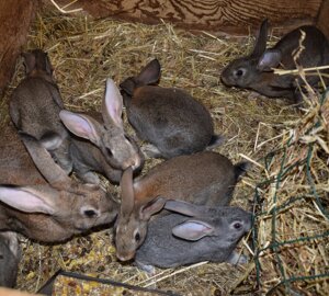 dsc_0167.jpeg dsc_0167.jpeg