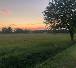 image2.jpeg image2.jpeg