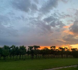 image1.jpeg image1.jpeg