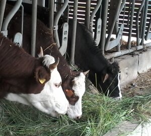 image67.jpeg image67.jpeg