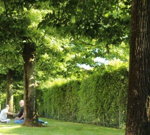 image5.jpeg image5.jpeg