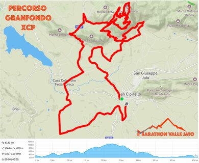 immagine whatsapp 2025-11-20 ore 09.30.12_c0f63c91.jpeg