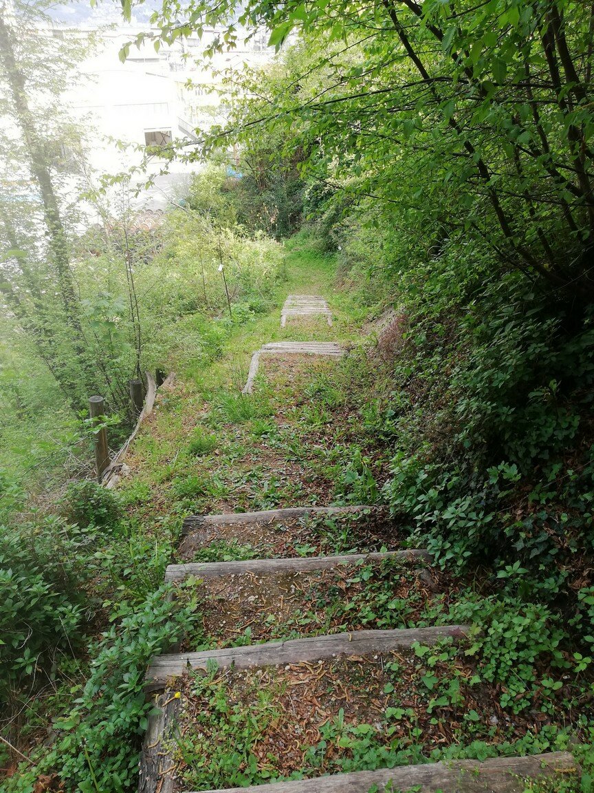 432582_4f1ba2cfbd164df98ec7e90963a941b8~mv2.jpeg 432582_4f1ba2cfbd164df98ec7e90963a941b8~mv2.jpeg