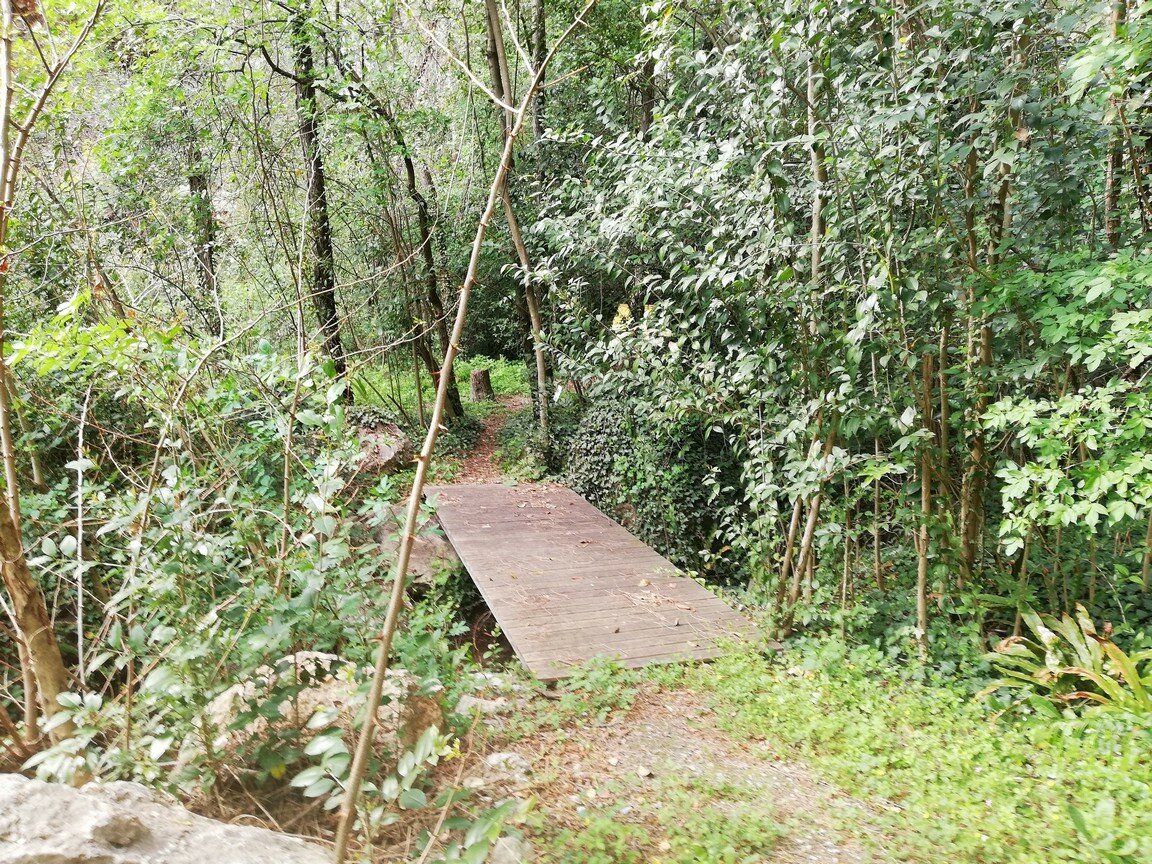 432582_c93508021c684b7e82cd8315496a87e8~mv2.jpeg 432582_c93508021c684b7e82cd8315496a87e8~mv2.jpeg