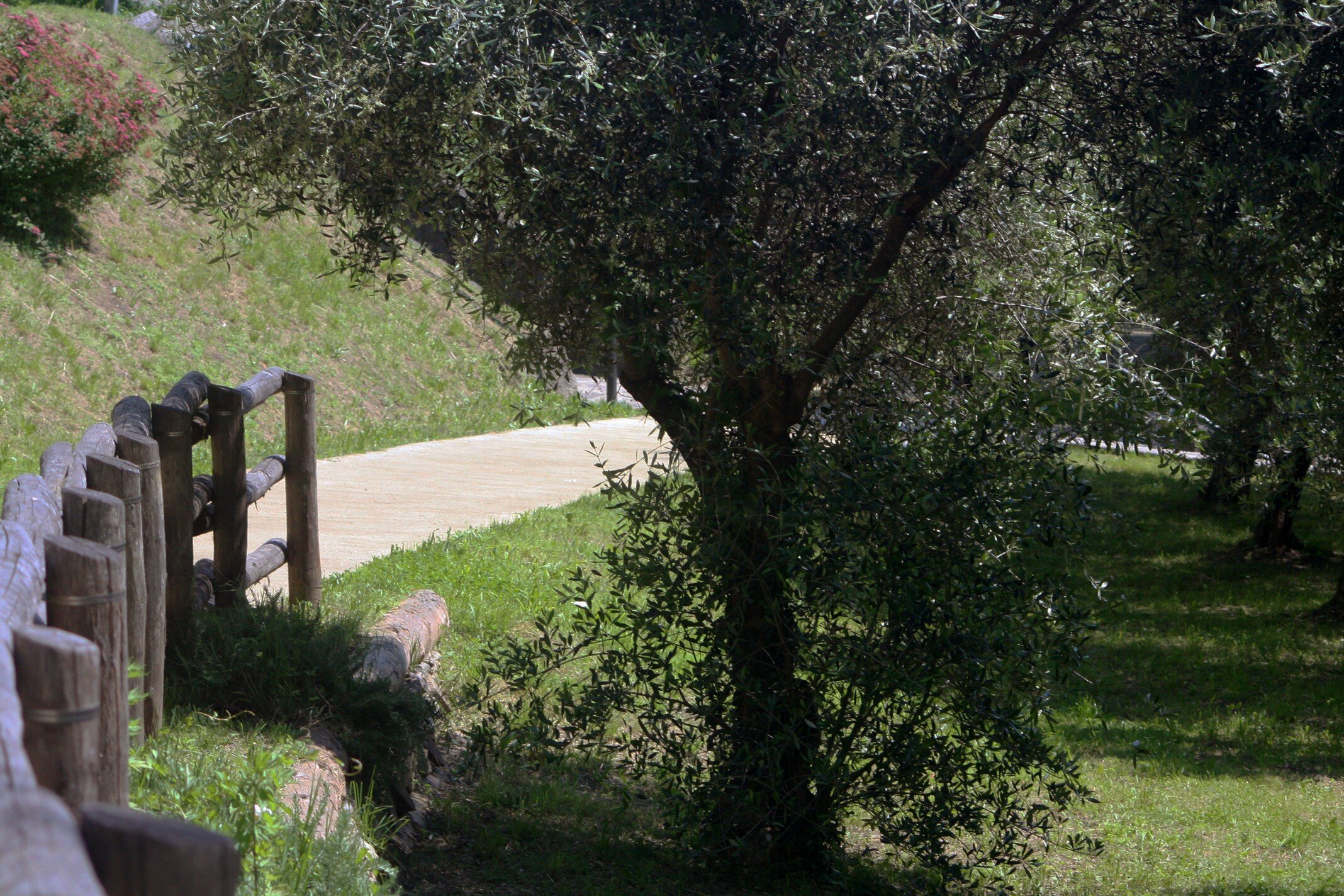 803956_d65913e980fe408bbf516a60cbbbdc77~mv2.jpeg 803956_d65913e980fe408bbf516a60cbbbdc77~mv2.jpeg