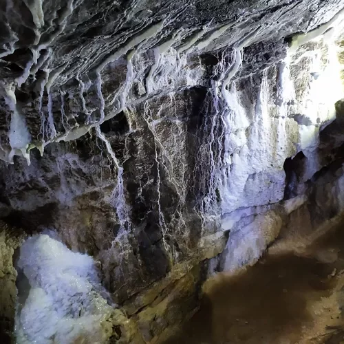 b09780_c2c8263ed6cf454d8d1617a2cd67da1f~mv2.webp b09780_c2c8263ed6cf454d8d1617a2cd67da1f~mv2.webp