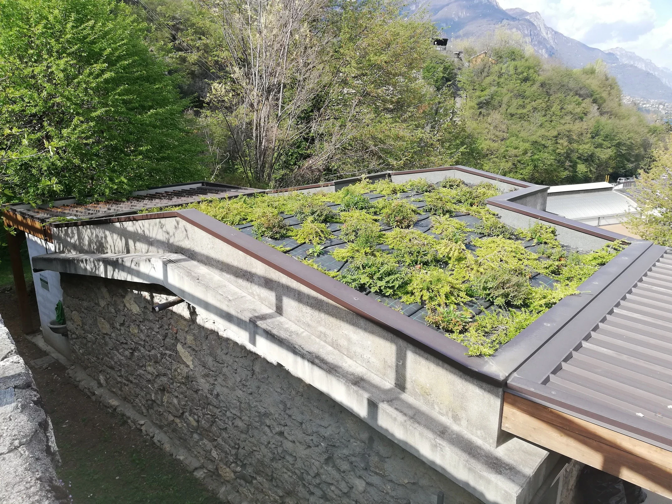 803956_f2bdf7f99c974355814d5f8ce4e9c0a5~mv2.webp 803956_f2bdf7f99c974355814d5f8ce4e9c0a5~mv2.webp