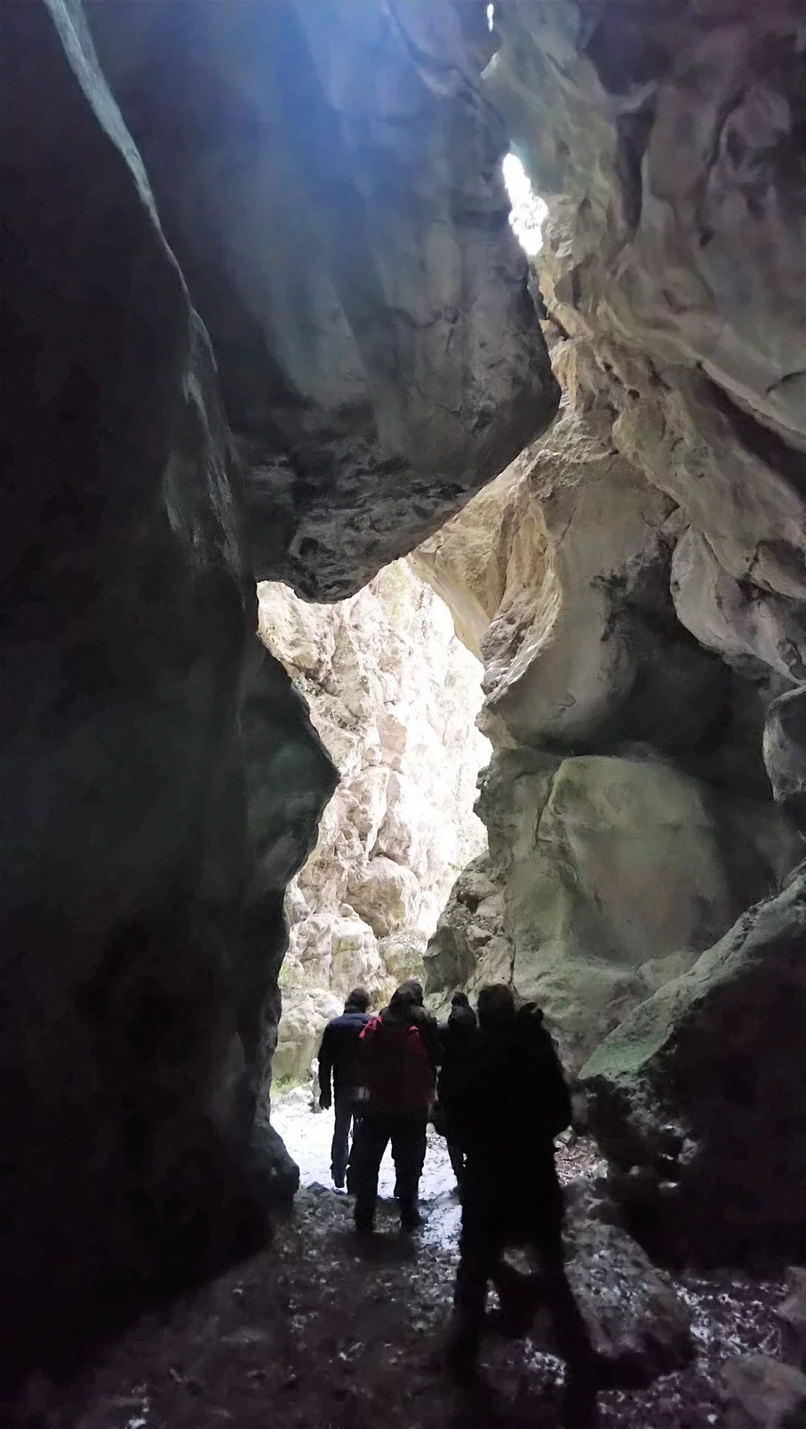 803956_dcaf4fd124e341569b683fc993fdcf02~mv2.webp 803956_dcaf4fd124e341569b683fc993fdcf02~mv2.webp