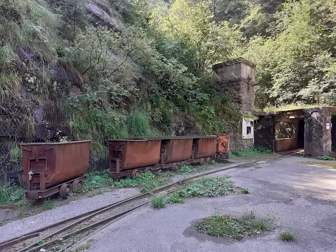 b09780_0012208ec80c4e1ea39bfee1921dd123~mv2.webp b09780_0012208ec80c4e1ea39bfee1921dd123~mv2.webp