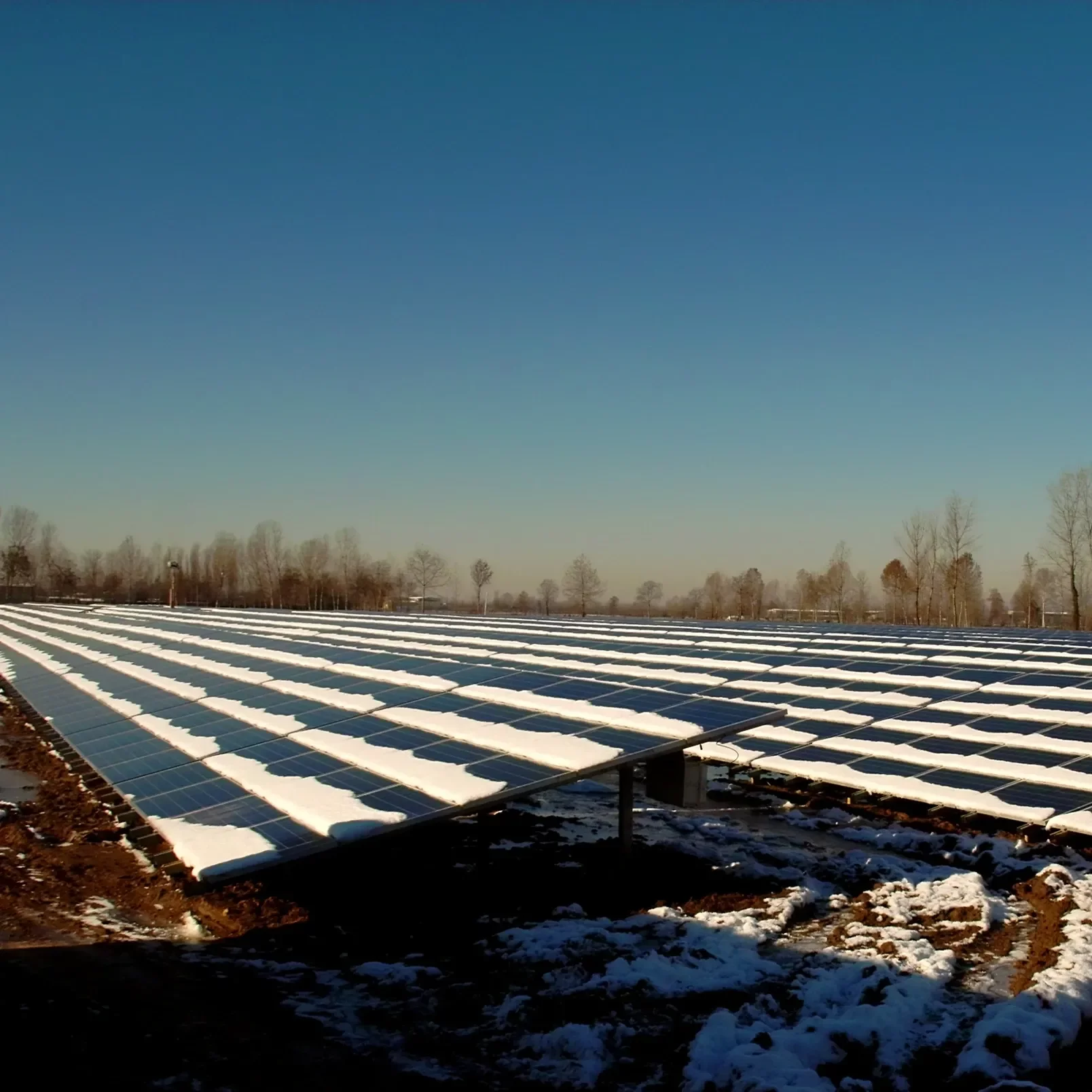 imgi_9_432582_4e1a9b89b19d493c89467b2a2c7fd7b3~mv2.webp imgi_9_432582_4e1a9b89b19d493c89467b2a2c7fd7b3~mv2.webp