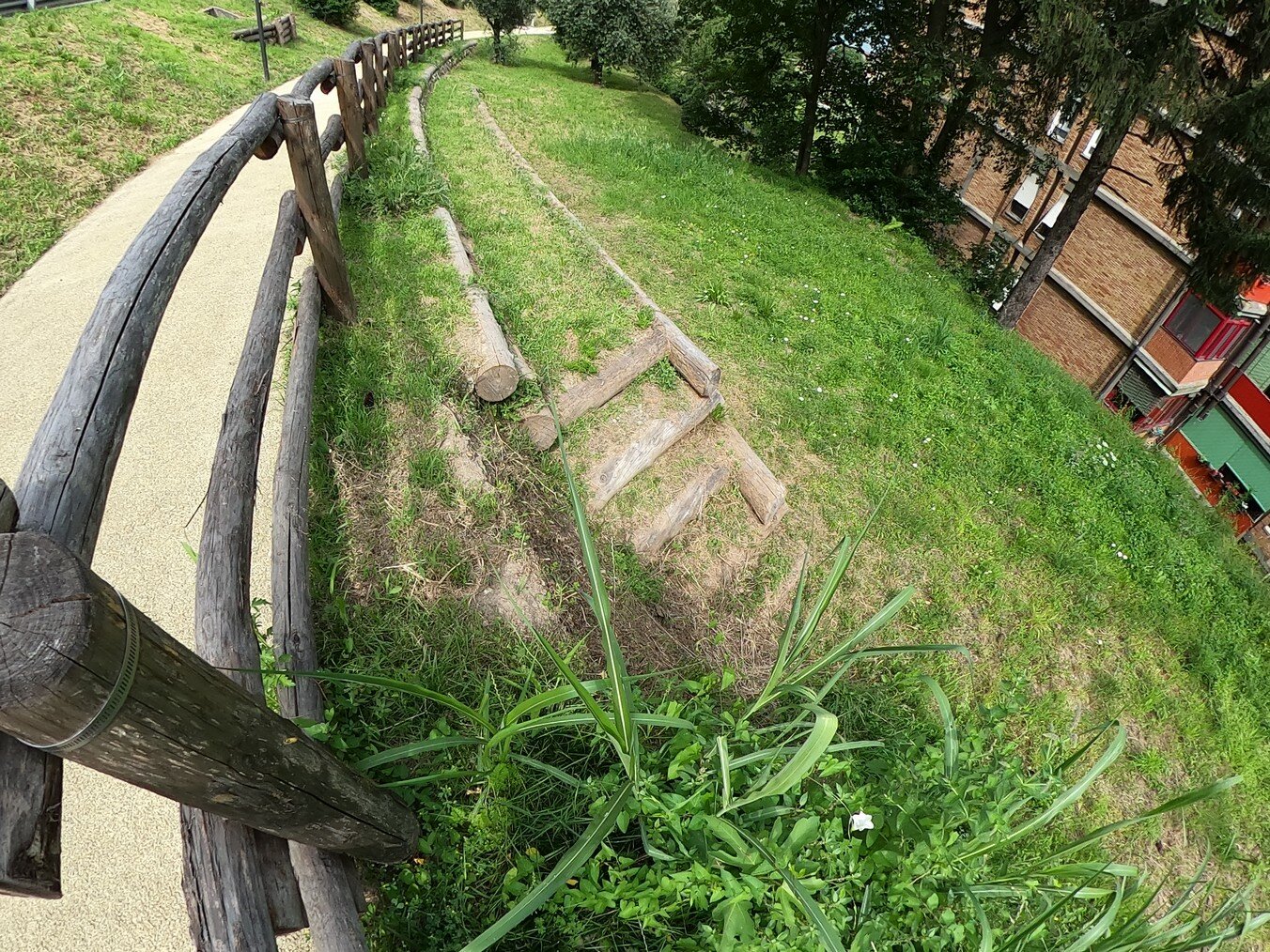 432582_ed761461dfd945dca4f1d4b2a7678443~mv2.jpeg 432582_ed761461dfd945dca4f1d4b2a7678443~mv2.jpeg