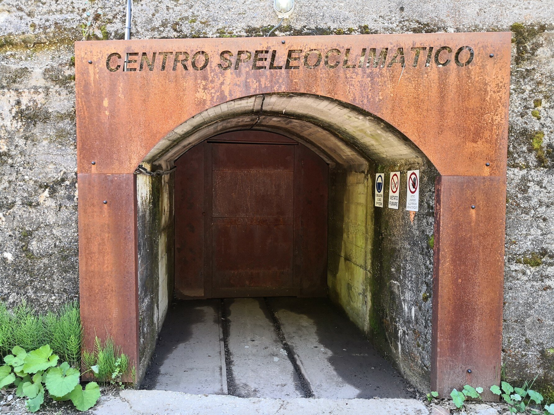 432582_ba04fd5c158541acb7c9f834f2a4b901~mv2.jpeg 432582_ba04fd5c158541acb7c9f834f2a4b901~mv2.jpeg