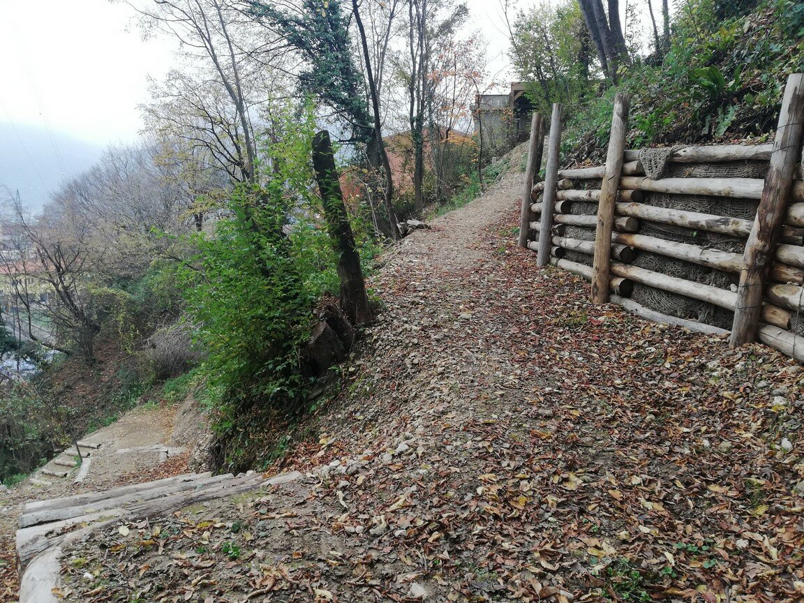 432582_5f6483f24a8b4b5b8cf0cd0c1c7aea13~mv2.jpeg 432582_5f6483f24a8b4b5b8cf0cd0c1c7aea13~mv2.jpeg