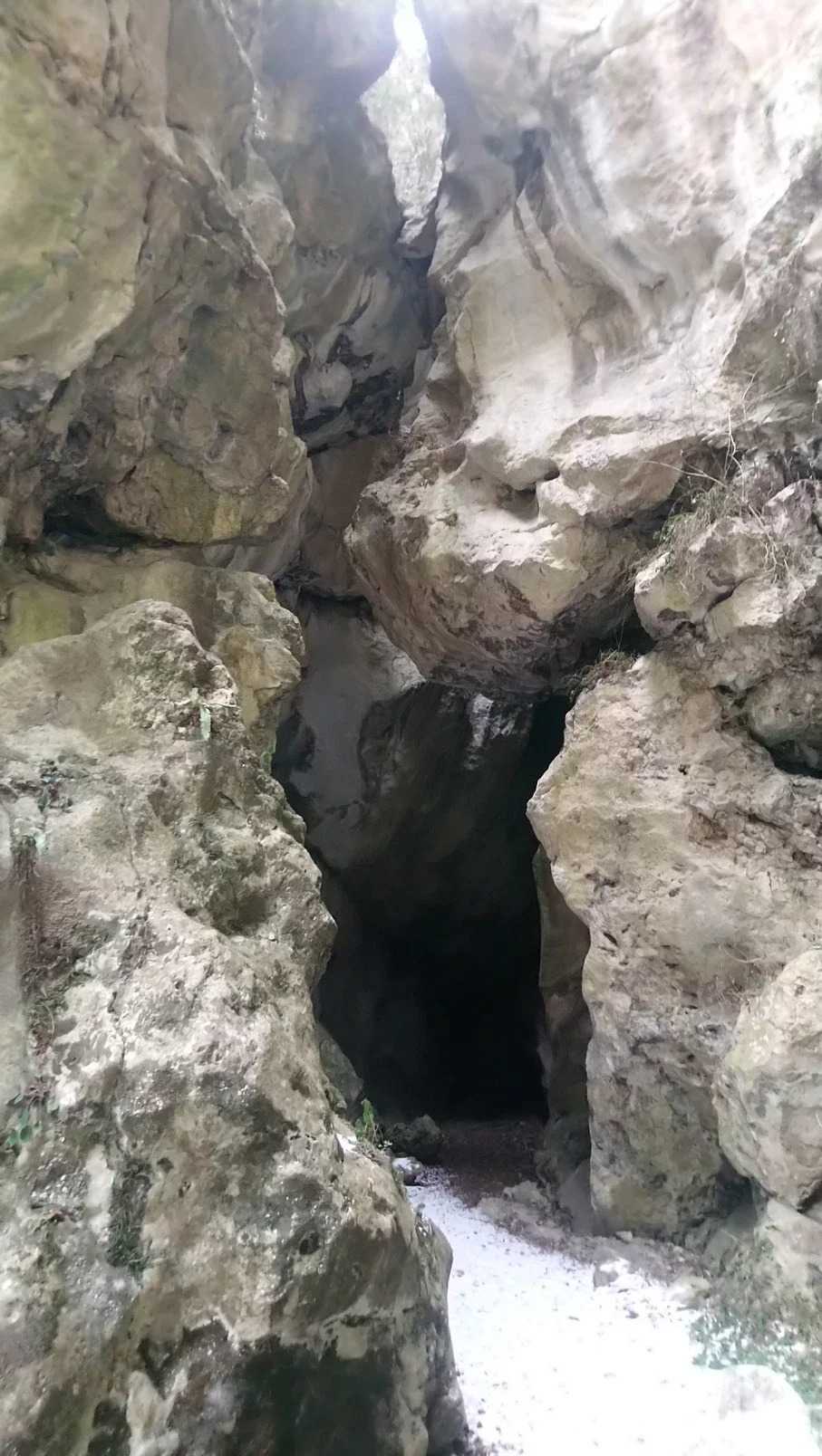 803956_bfc1bf26e1b244aeaf61666cf824f48c~mv2.webp 803956_bfc1bf26e1b244aeaf61666cf824f48c~mv2.webp