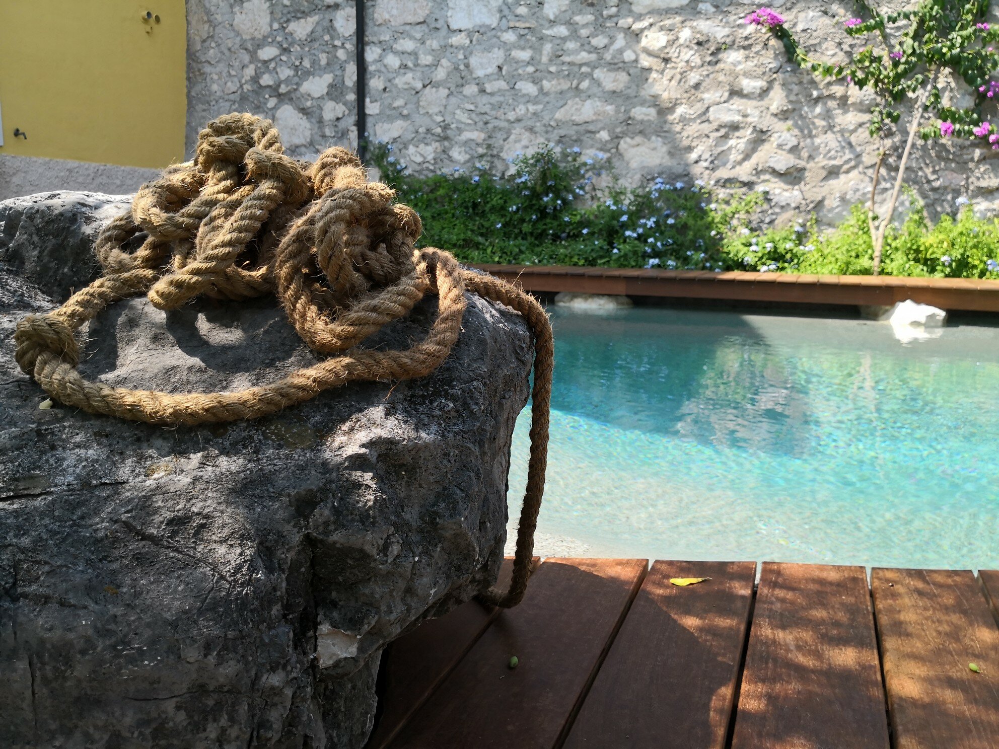 432582_d6a941f9ad8d4ecd827ae9d8e805e122~mv2.jpeg 432582_d6a941f9ad8d4ecd827ae9d8e805e122~mv2.jpeg