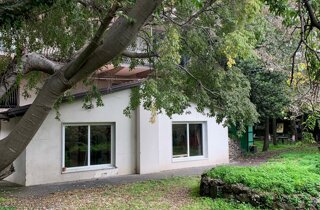 villa%20s.antonio6.jpeg villa%20s.antonio6.jpeg