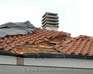 www_studiofantino_it_22g.jpeg