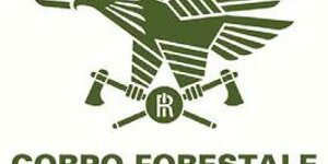 logo CFVA
