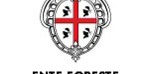 logo Ente Foreste