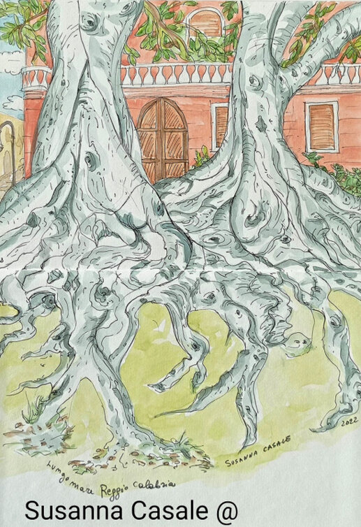 radici di alberi secolari sul lungomare di Reggio Calabriaa